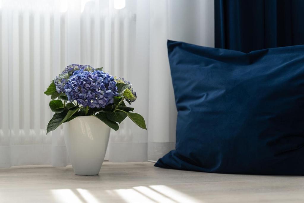 Vip Apart Center Baden-Baden Eksteriør billede